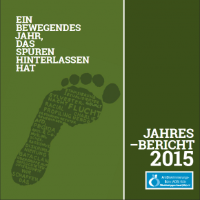 Jahresbericht 2015*